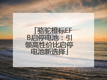 骆驼橙标EFB启停电池：引领高性价比启停电池新选择