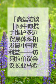 高端访谈｜阿中愿携手维护多边贸易体系和发展中国家利益——访阿拉伯议会议长亚马希