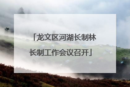 龙文区河湖长制林长制工作会议召开