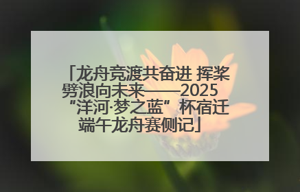 龙舟竞渡共奋进 挥桨劈浪向未来——2025“洋河·梦之蓝”杯宿迁端午龙舟赛侧记