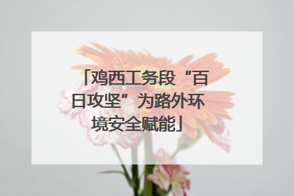 鸡西工务段“百日攻坚”为路外环境安全赋能