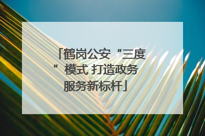 鹤岗公安“三度”模式 打造政务服务新标杆