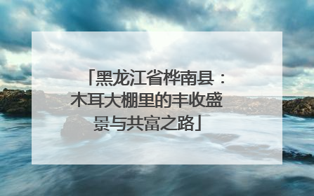 黑龙江省桦南县：木耳大棚里的丰收盛景与共富之路
