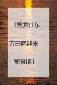 黑龙江东方白鹳迎来繁育期