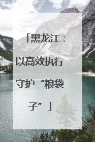 黑龙江：以高效执行守护“粮袋子”