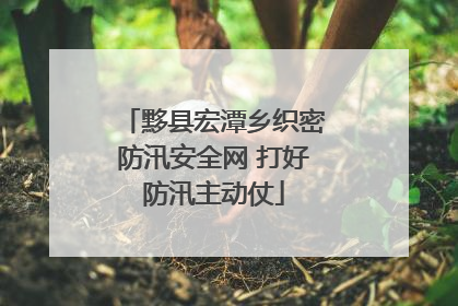 黟县宏潭乡织密防汛安全网 打好防汛主动仗