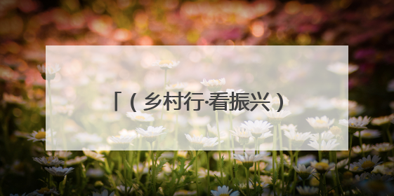 （乡村行·看振兴）内蒙古乡镇经济新变化：小产业累积大民生