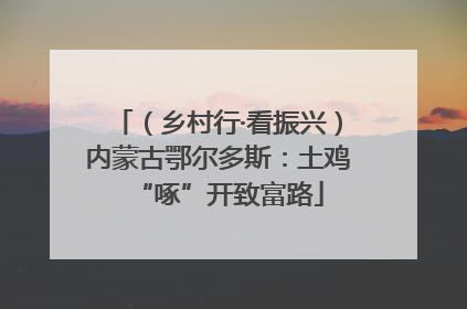 （乡村行·看振兴）内蒙古鄂尔多斯：土鸡“啄”开致富路