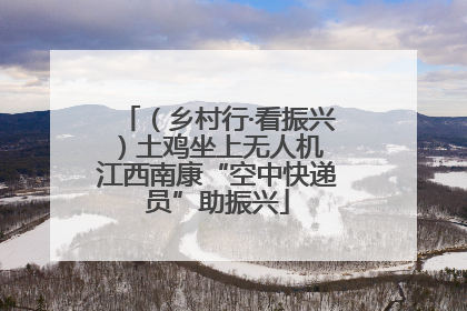 （乡村行·看振兴）土鸡坐上无人机 江西南康“空中快递员”助振兴
