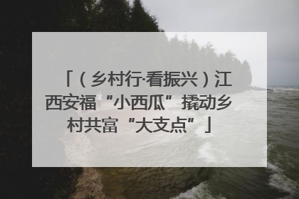（乡村行·看振兴）江西安福“小西瓜”撬动乡村共富“大支点”