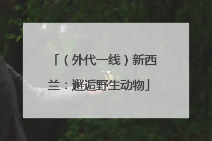 （外代一线）新西兰：邂逅野生动物