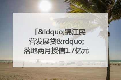 “锦江民营发展贷”落地两月授信1.7亿元，惠及118家民企
