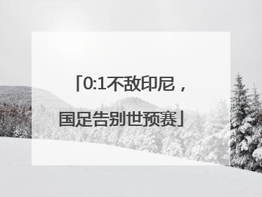 0:1不敌印尼，国足告别世预赛