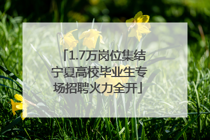 1.7万岗位集结 宁夏高校毕业生专场招聘火力全开
