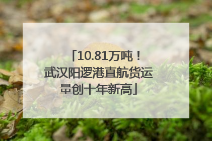 10.81万吨！武汉阳逻港直航货运量创十年新高