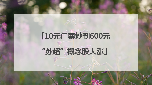 10元门票炒到600元 “苏超”概念股大涨