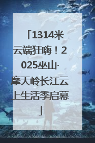 1314米云端狂嗨！2025巫山·摩天岭长江云上生活季启幕