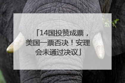 14国投赞成票，美国一票否决！安理会未通过决议