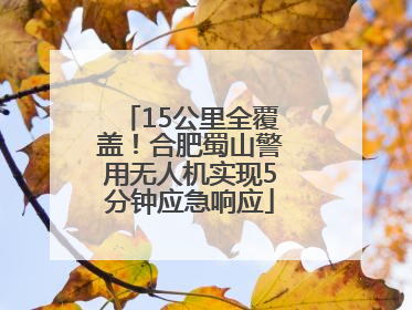 15公里全覆盖！合肥蜀山警用无人机实现5分钟应急响应