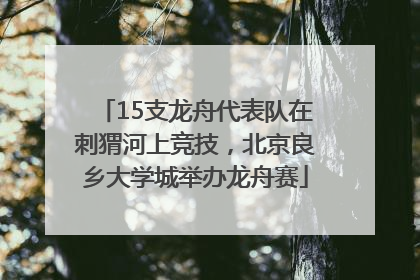 15支龙舟代表队在刺猬河上竞技，北京良乡大学城举办龙舟赛