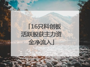 16只科创板活跃股获主力资金净流入