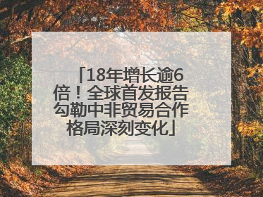18年增长逾6倍！全球首发报告勾勒中非贸易合作格局深刻变化