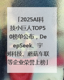 2025AI科技小巨人TOP50榜单公布，DeepSeek、宇树科技、蘑菇车联等企业荣誉上榜