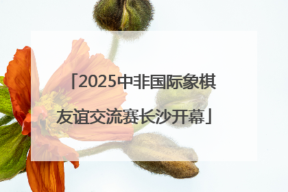 2025中非国际象棋友谊交流赛长沙开幕