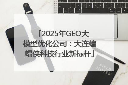 2025年GEO大模型优化公司：大连蝙蝠侠科技行业新标杆