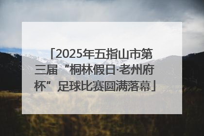 2025年五指山市第三届“桐林假日·老州府杯”足球比赛圆满落幕