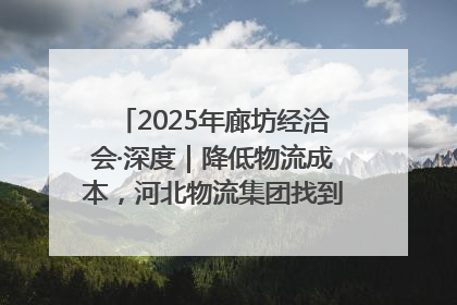 2025年廊坊经洽会·深度｜降低物流成本，河北物流集团找到一把“金钥匙”