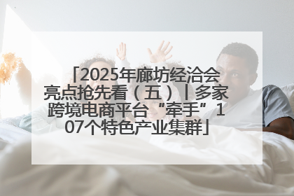 2025年廊坊经洽会亮点抢先看（五）丨多家跨境电商平台“牵手”107个特色产业集群