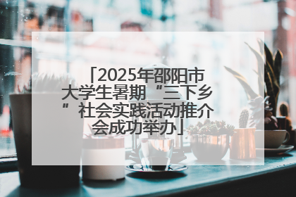 2025年邵阳市大学生暑期“三下乡”社会实践活动推介会成功举办