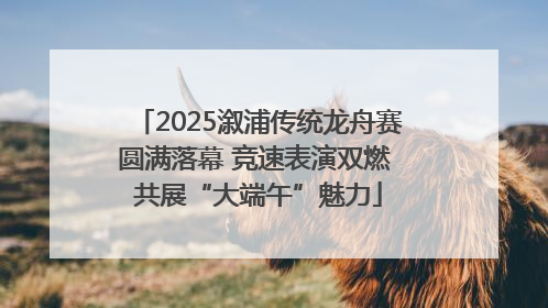 2025溆浦传统龙舟赛圆满落幕 竞速表演双燃 共展“大端午”魅力