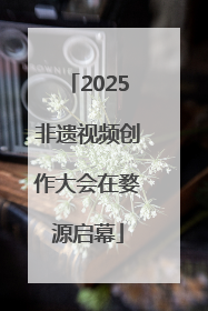 2025非遗视频创作大会在婺源启幕