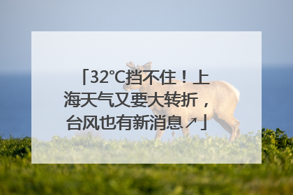 32℃挡不住！上海天气又要大转折，台风也有新消息↗