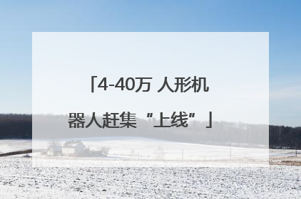 4-40万 人形机器人赶集“上线”