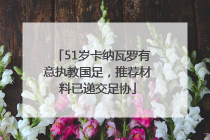 51岁卡纳瓦罗有意执教国足，推荐材料已递交足协