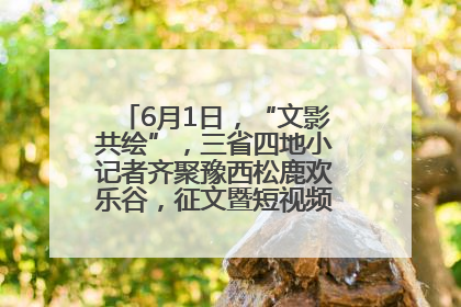 6月1日，“文影共绘”，三省四地小记者齐聚豫西松鹿欢乐谷，征文暨短视频大赛精彩启幕！