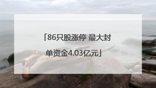 86只股涨停 最大封单资金4.03亿元