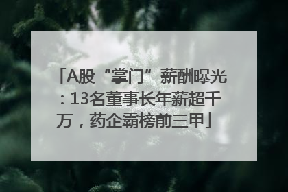 A股“掌门”薪酬曝光：13名董事长年薪超千万，药企霸榜前三甲